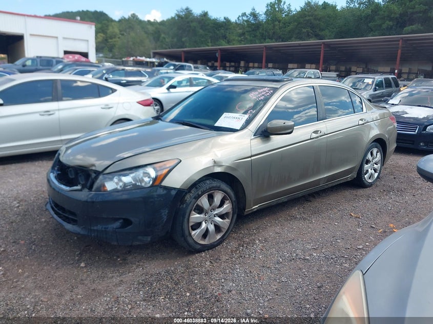 2010 HONDA ACCORD auction photo 2