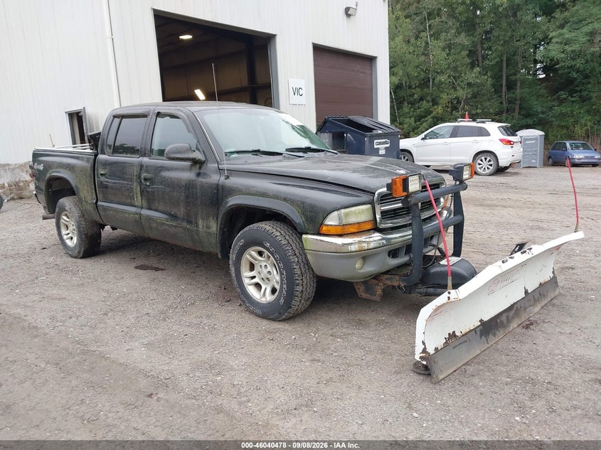 2004 DODGE DAKOTA auction photo 1
