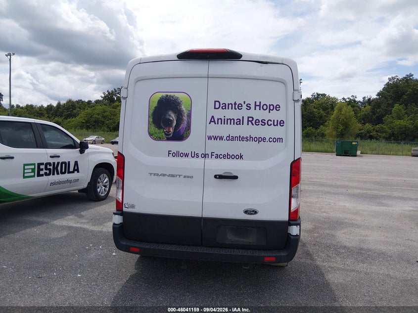 2023 Ford Transit (VIN: 1FTBR1C88PKA49807)