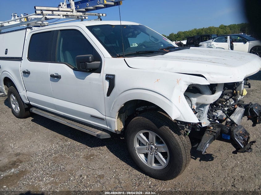 Vin: 1ftfw1fd1sfa36790, lot: 46543370, ford f-150 xl hybrid 2025 img_1
