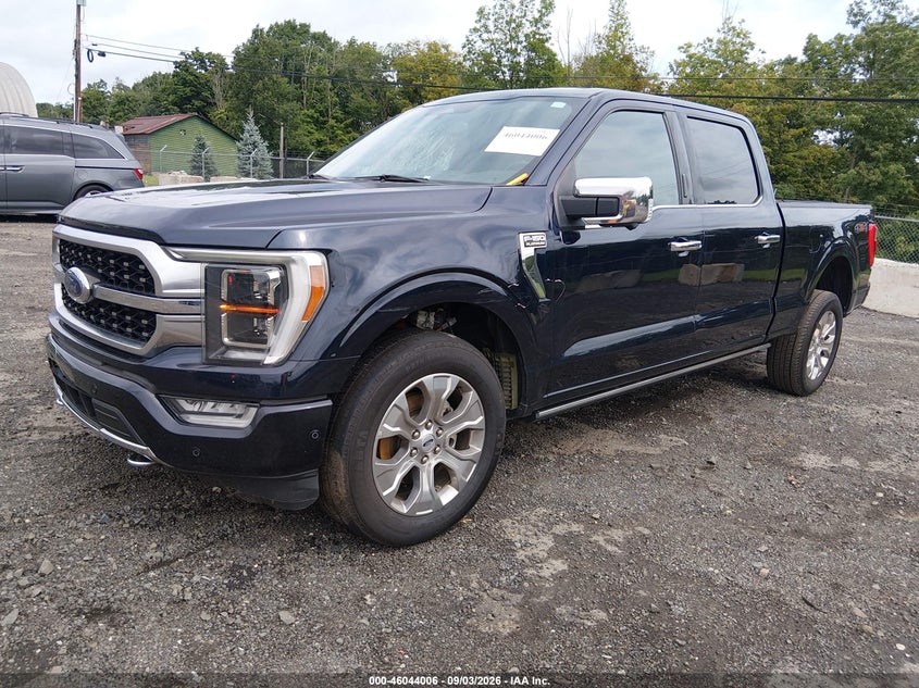 Vin: 1ftfw1e8xpfa54765, lot: 46543460, ford f-150 platinum 20232