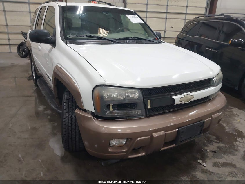 CHEVROLET TRAILBLAZER 2002 VIN 1GNDT13SX22239064