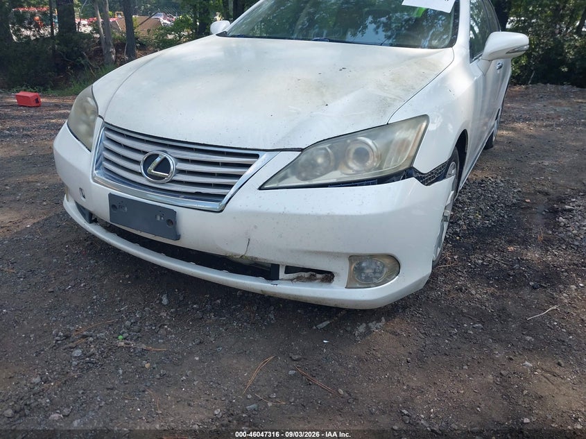 2010 LEXUS ES 350 auction photo 6