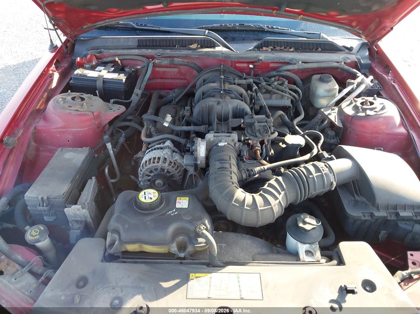 FORD MUSTANG 2006 VIN 1ZVFT80N965169244