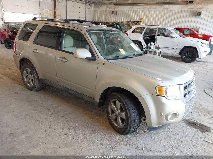 2010 FORD ESCAPE auction photo 1