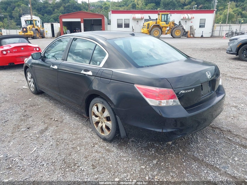 2010 HONDA ACCORD auction photo 3