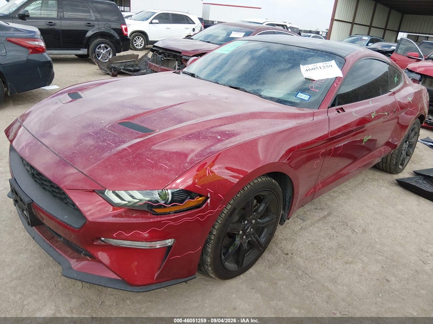 2019 Ford Mustang, Удар ззаду, IAAI, VIN 1FA6P8TH5K5134083 — фото 2