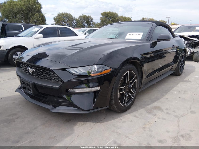 FORD MUSTANG - zdjęcie 2
