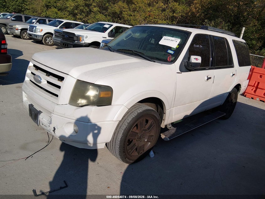 FORD EXPEDITION 2009 VIN 1FMFU195X9LA07287