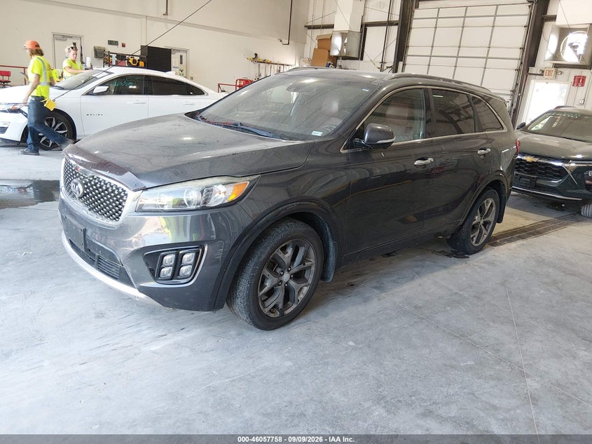 Vin: 5xypk4a12gg116084, lot: 46557280, kia sorento 2.0t sxl 20162