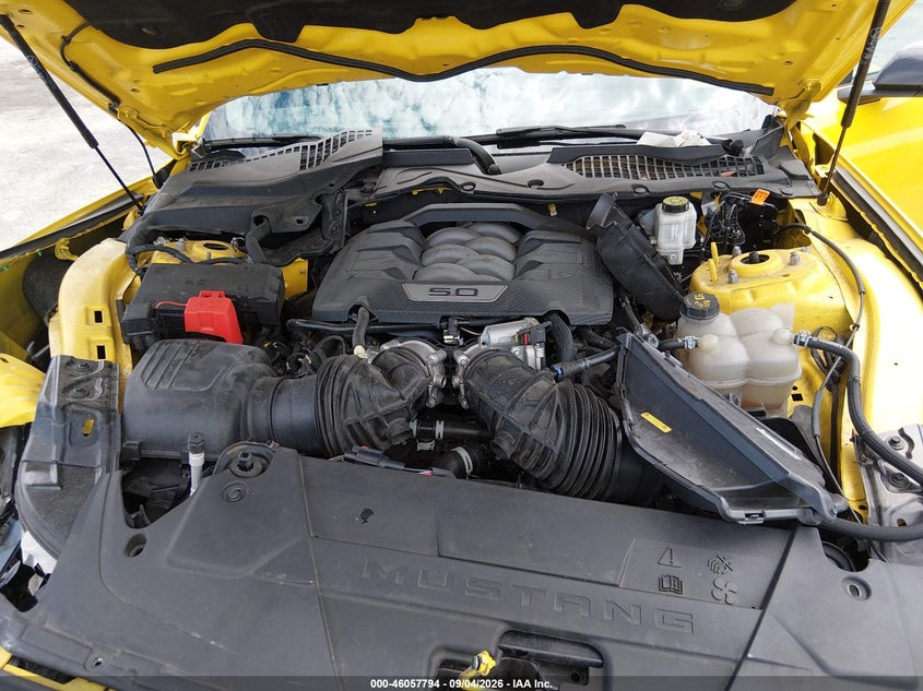 FORD MUSTANG 2024 VIN 1FA6P8CF8R5425024