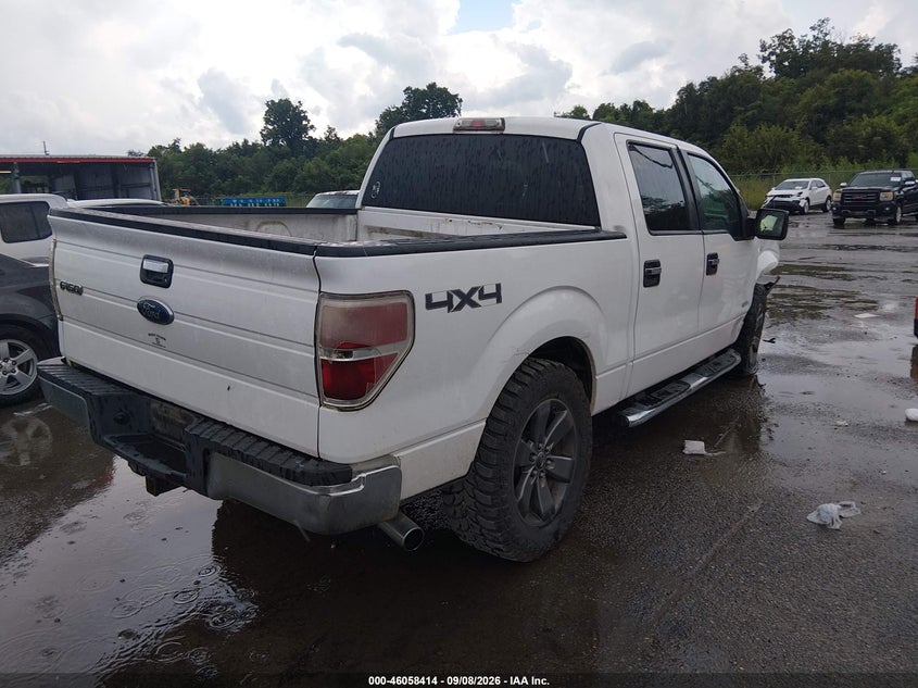 Vin: 1ftfw1etxdfa77592, lot: 46557936, ford f-150 xlt 20134
