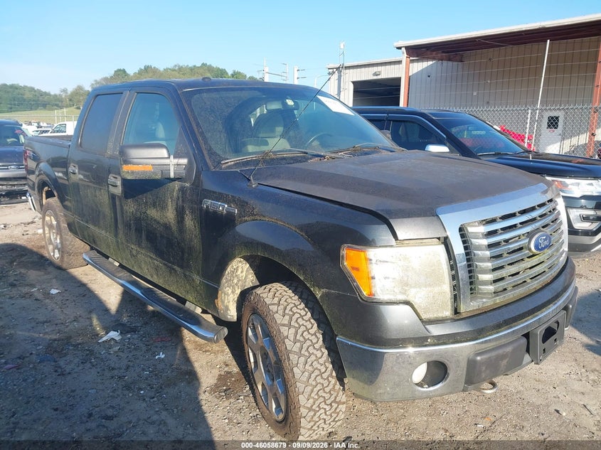 Vin: 1ftfw1ev6afc18655, lot: 46558201, ford f-150 fx4/harley-davidson/king ranch/lariat/platinum/xl/xlt 2010 img_1