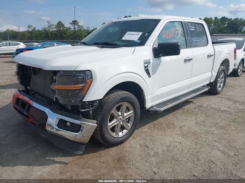 Vin: 1ftew3kp6ske06128, lot: 46559886, ford f-150 xlt 20252