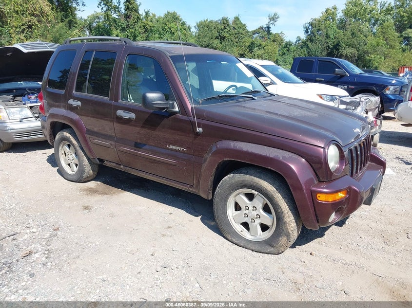 2004 JEEP LIBERTY auction photo 1