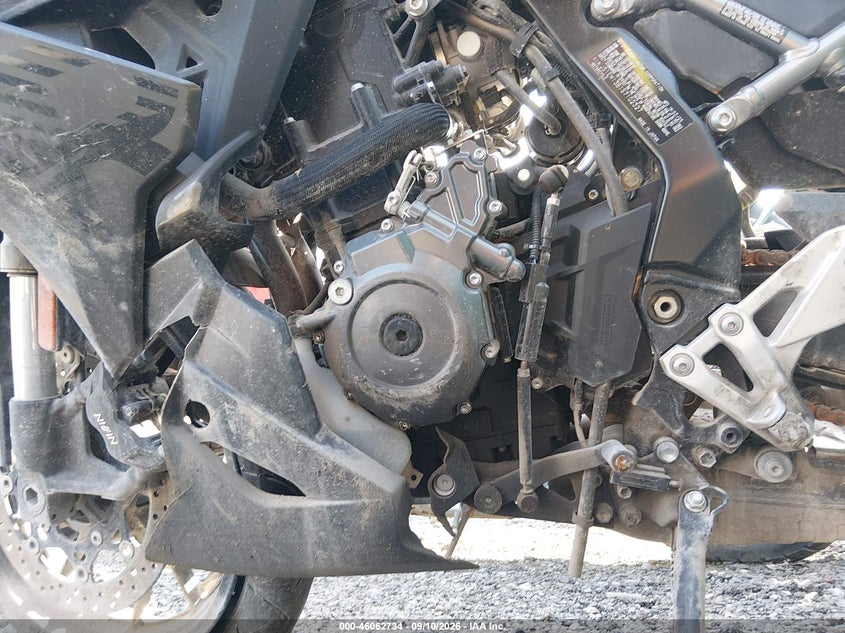 SUZUKI GSX800 2025