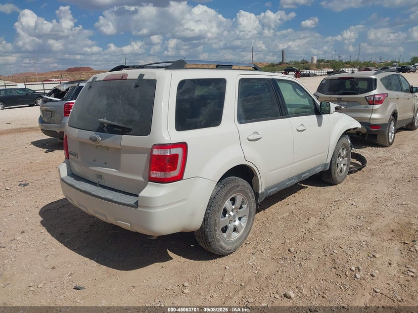 Vin: 1fmcu0e75akd19290, lot: 46563228, ford escape limited 20104