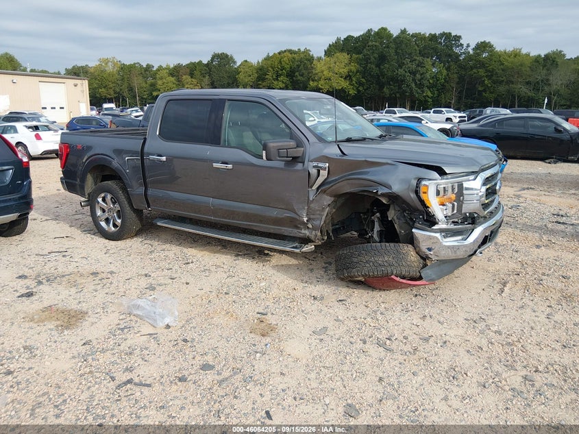 Vin: 1ftfw1e84mfd04528, lot: 46563732, ford f-150 xlt 2021 img_1