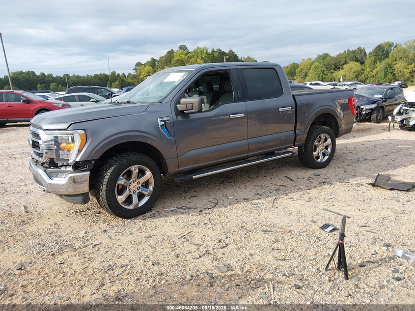 Vin: 1ftfw1e84mfd04528, lot: 46563732, ford f-150 xlt 20212