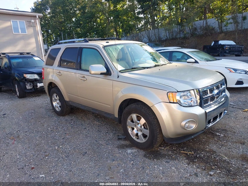 Vin: 1fmcu9eg2bkc43498, lot: 46564190, ford escape limited 2011 img_1