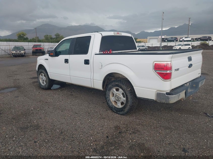 Vin: 1ftfw1efxdfa79773, lot: 46564900, ford f-150 xlt 20133