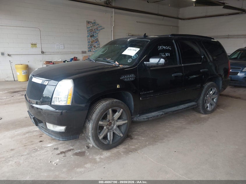 CADILLAC ESCALADE 2012 VIN 1GYS4AEF0CR203075