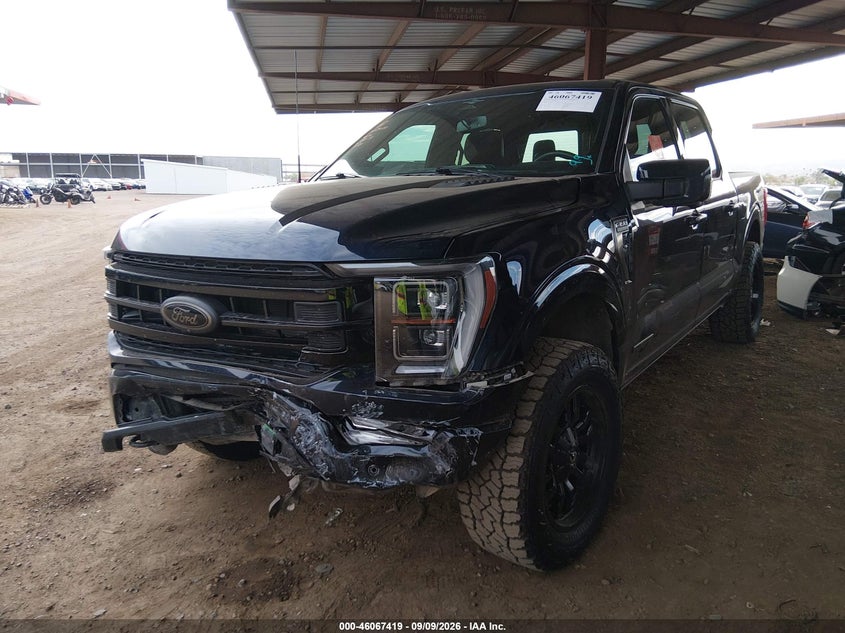 Vin: 1ftfw1ed2pfb43484, lot: 46566946, ford f-150 platinum 20232