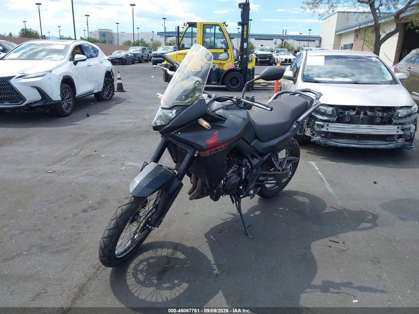 HONDA XL750 2024