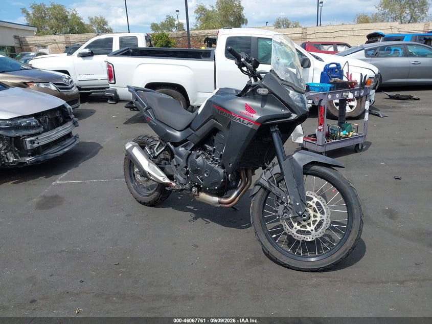 HONDA XL750 2024