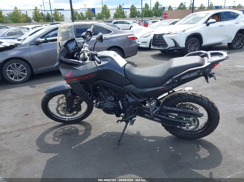 HONDA XL750 2024