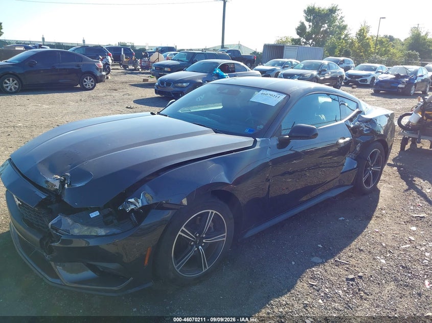 2024 Ford Mustang Ecoboost Fastback, Front End, IAAI, VIN 1FA6P8TH8R5110709 — photo 2