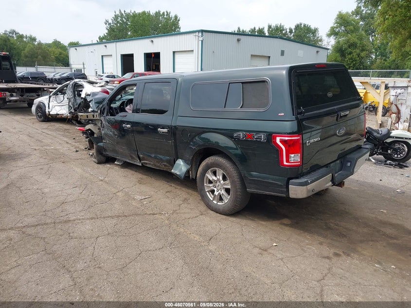 Vin: 1ftew1ep8gfb00242, lot: 46570096, ford f-150 xlt 20163