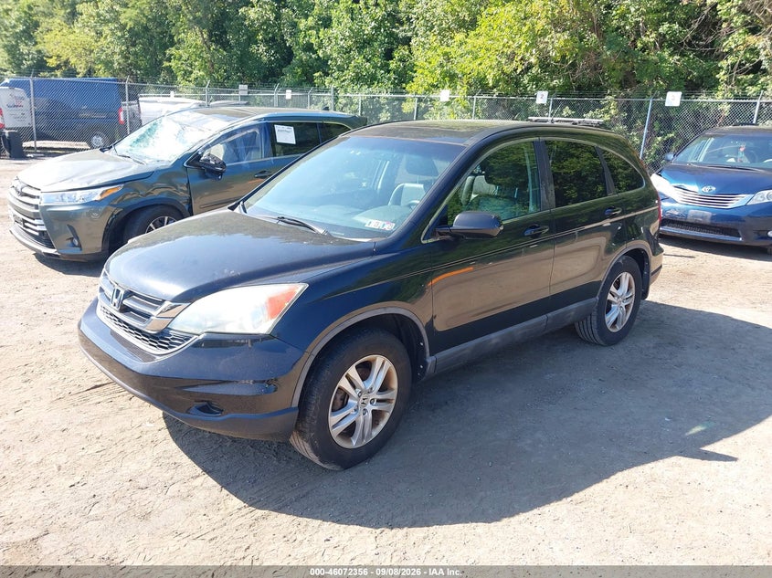 2010 HONDA CR-V auction photo 2