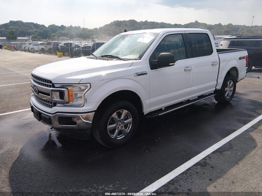 Vin: 1ftew1ep6kkd71638, lot: 46571917, ford f-150 xlt 20192