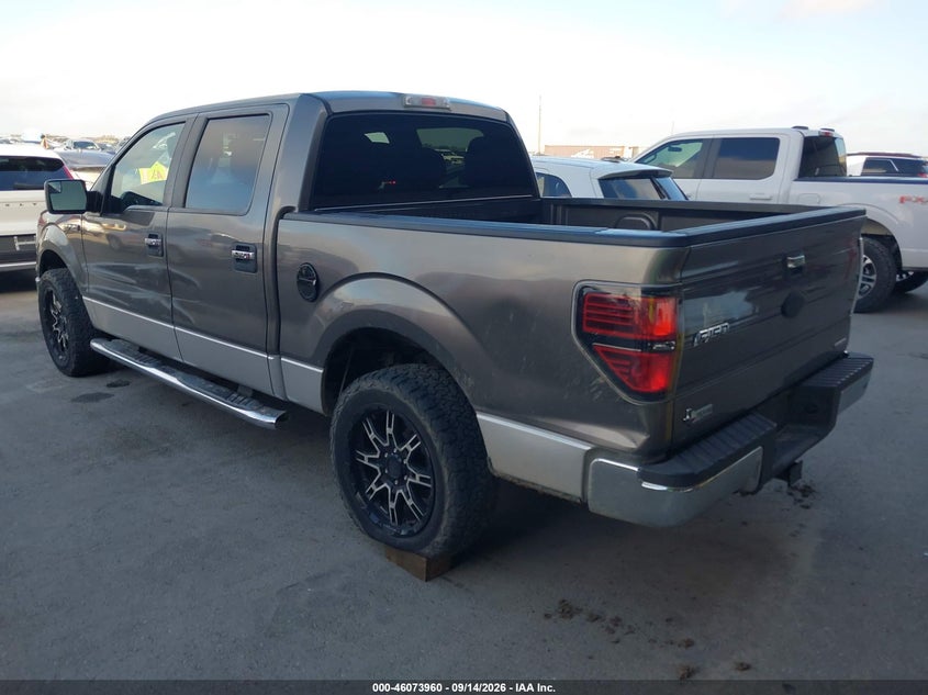 Vin: 1ftew1cm2bfb69977, lot: 46573507, ford f-150 xlt 20113