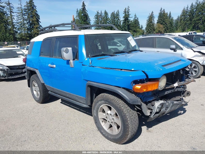 2007 TOYOTA FJ CRUISER auction photo 1