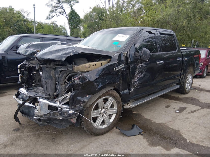 Vin: 1ftew1eg4fke37495, lot: 46575562, ford f-150 xlt 20152