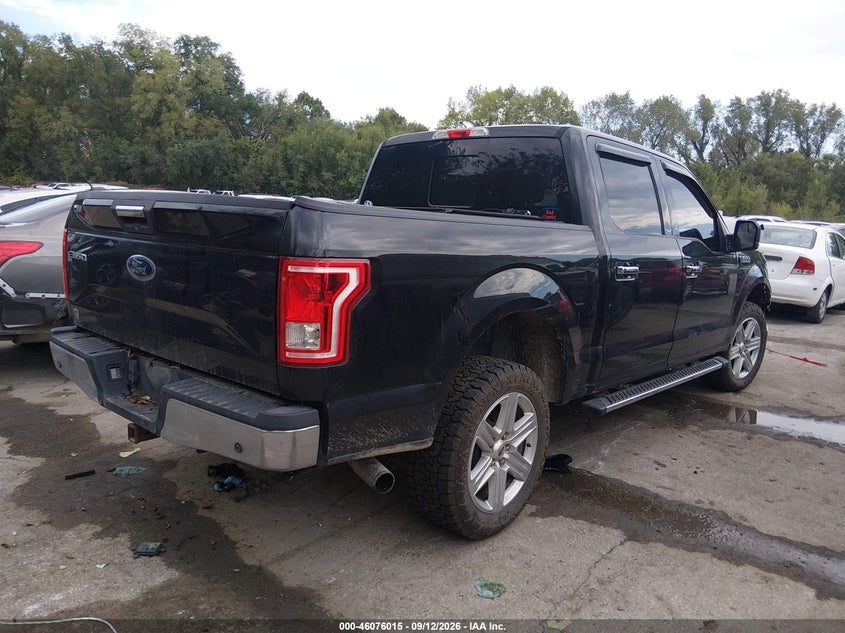 Vin: 1ftew1eg4fke37495, lot: 46575562, ford f-150 xlt 20154