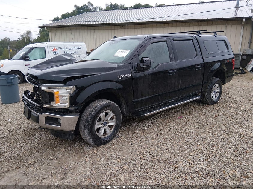 Vin: 1ftew1e54lfa26813, lot: 46575567, ford f-150 xlt 20202