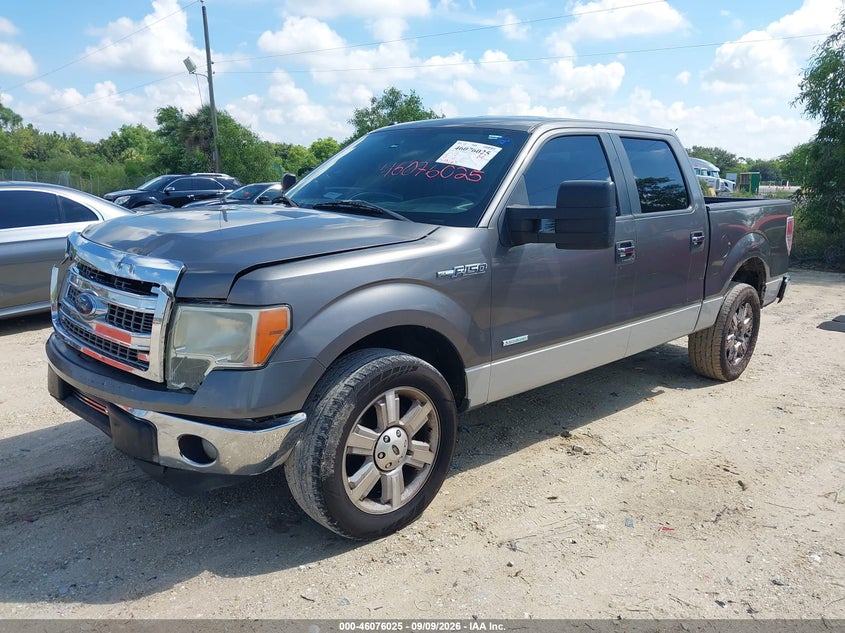 Vin: 1ftfw1ct9dfa11537, lot: 46575572, ford f-150 xlt 20132