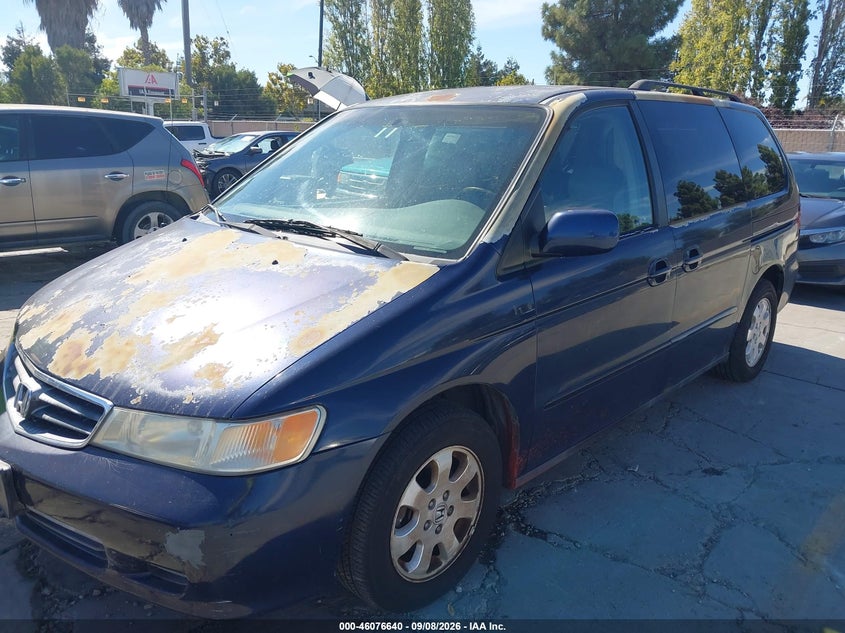 2003 HONDA ODYSSEY auction photo 6