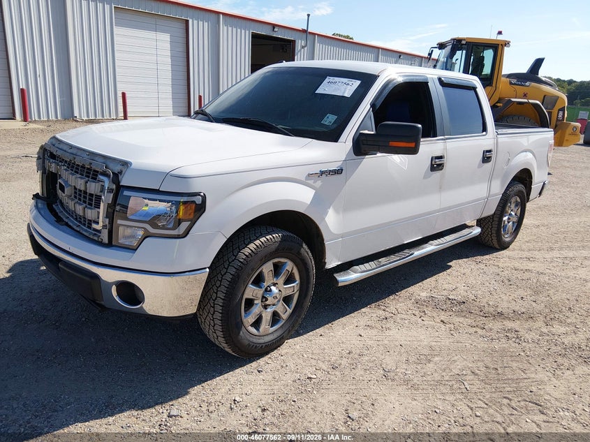 Vin: 1ftew1cm6ekd28804, lot: 46577109, ford f-150 xlt 20142