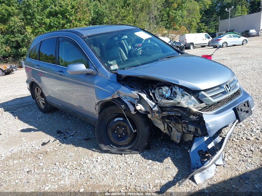 Vin: 5j6re4h77al005921, lot: 46578263, honda cr-v ex-l 2010 img_1