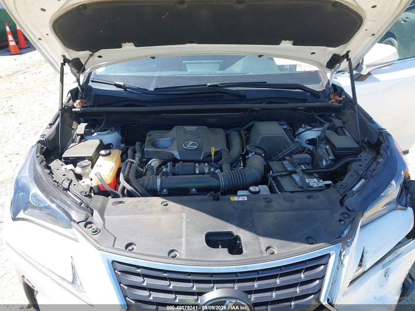 LEXUS NX 300 2019 VIN JTJYARBZ2K2145318