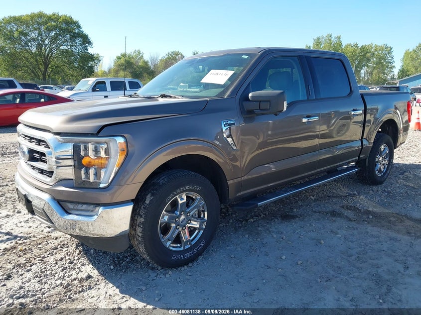 Vin: 1ftew1ep5mke52388, lot: 46580685, ford f-150 xlt 20212