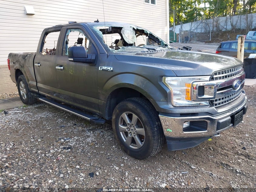 Vin: 1ftfw1e45lke11915, lot: 46580693, ford f-150 xlt 2020 img_1
