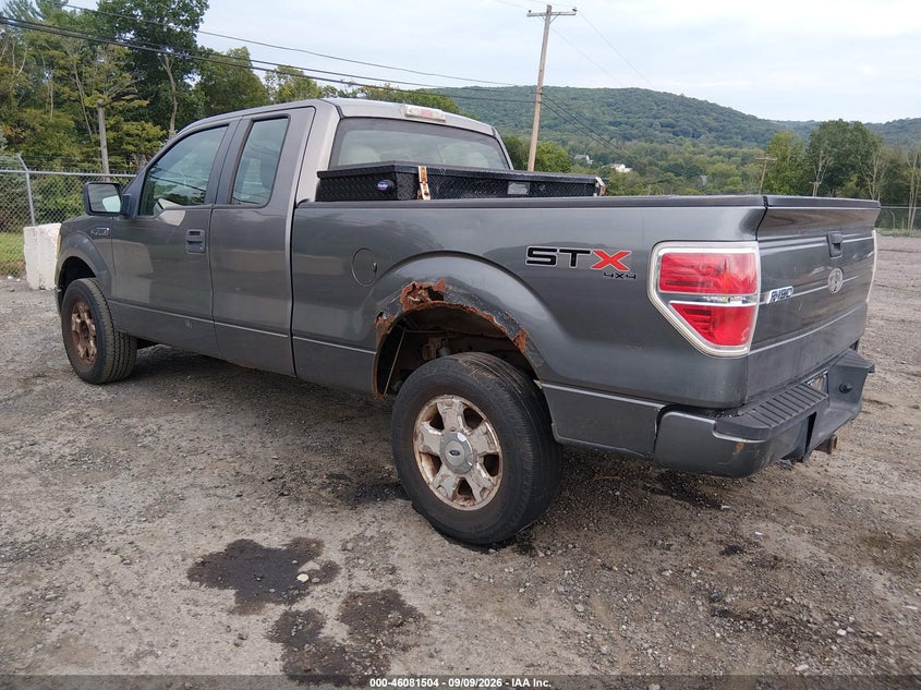 2010 FORD F-150 auction photo 3