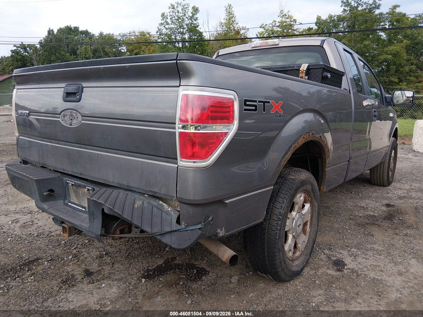 2010 FORD F-150 auction photo 6