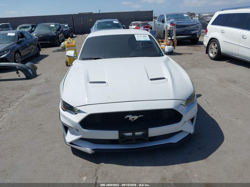 FORD MUSTANG - zdjęcie 12
