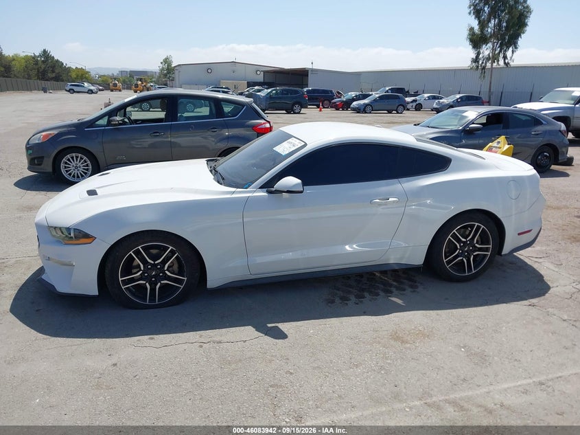 FORD MUSTANG - zdjęcie 14